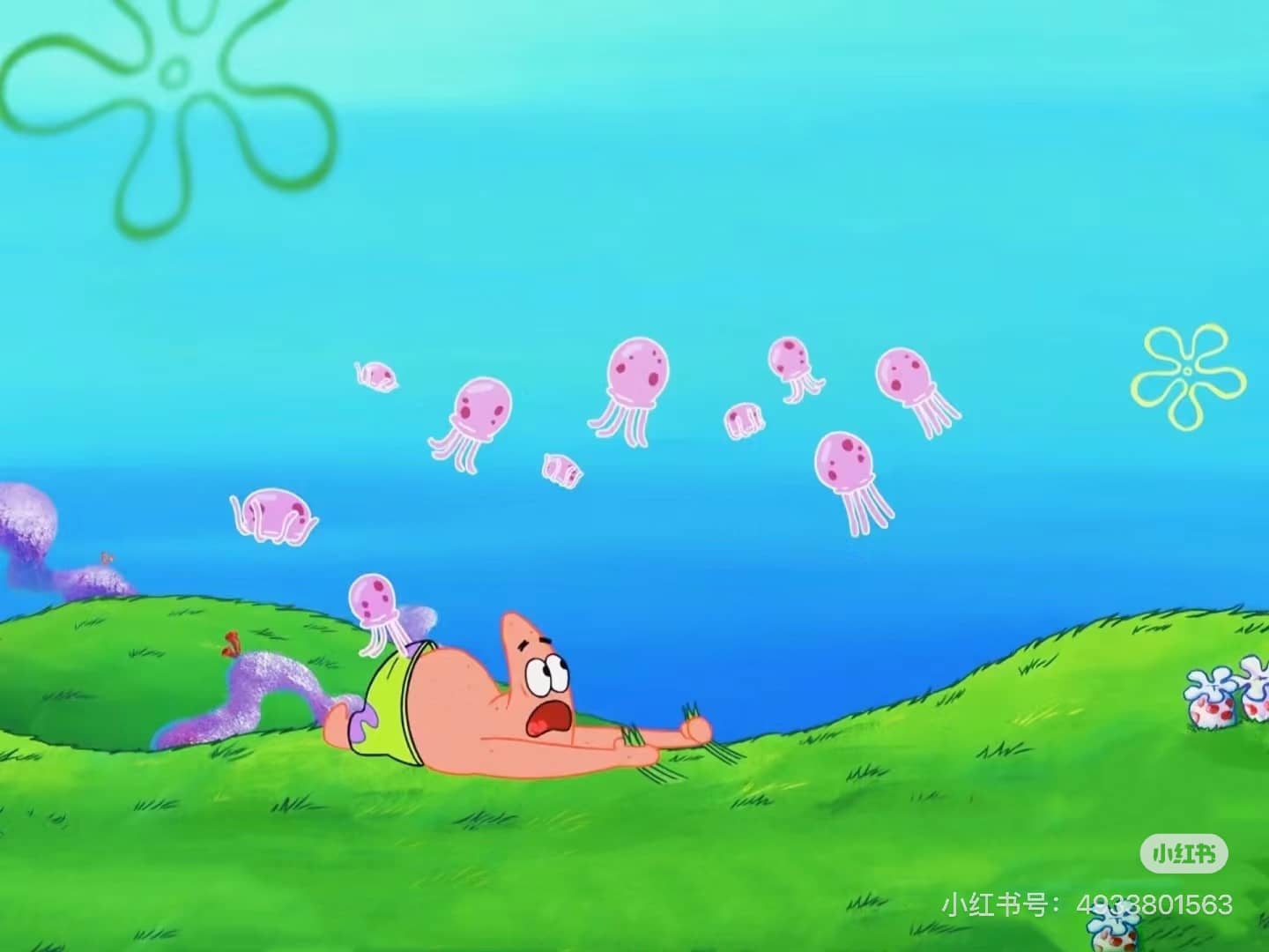 水母节7